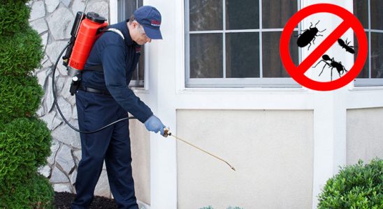 Evka 1 Gümüşkurt İlaçlama böcek ilaçlama ve haşere kontrolü — ilaclama-tr.com